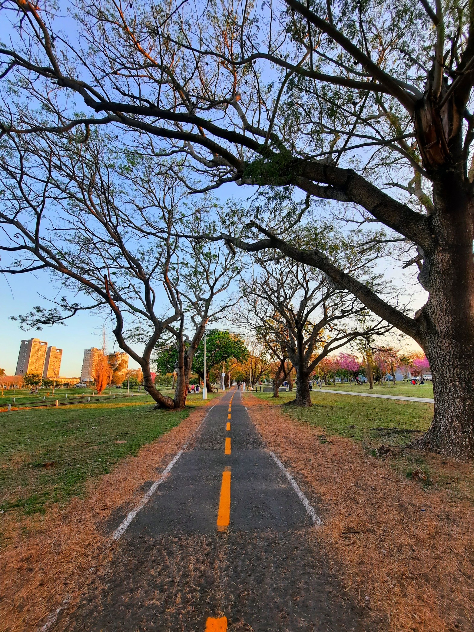 Un sinuoso recorrido. Foto Pérez, Axel