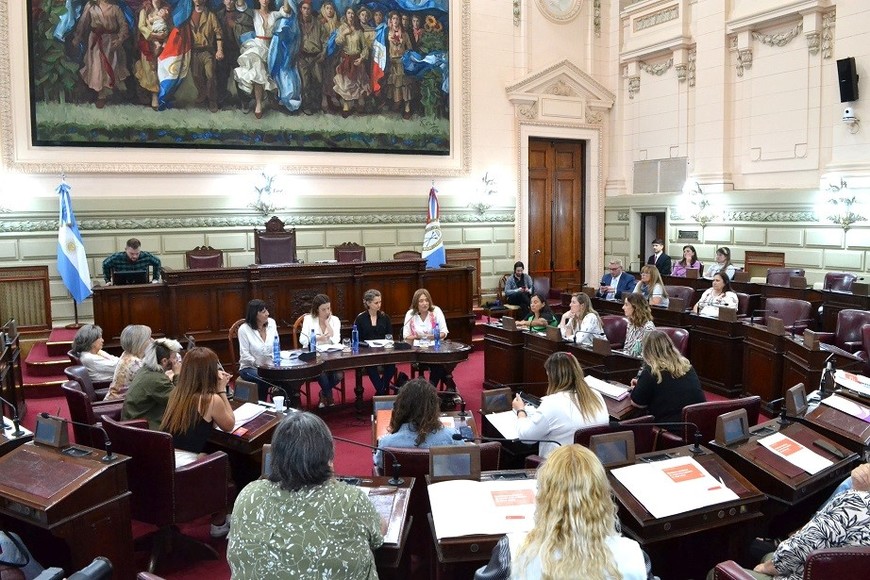 "Son datos clave para las políticas públicas", aseguró la diputada De Ponti.