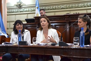"Son datos clave para las políticas públicas", aseguró la diputada De Ponti.