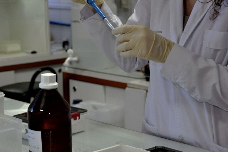 El CMC beca a alumnos de la carrera de Medicina Veterinaria para la realización de prácticas profesionales rentadas en diferentes áreas, asignando un estipendio mensual gestionado a través de los fondos generados por los servicios brindados. Crédito: Gentileza Centro de Medicina Comparada