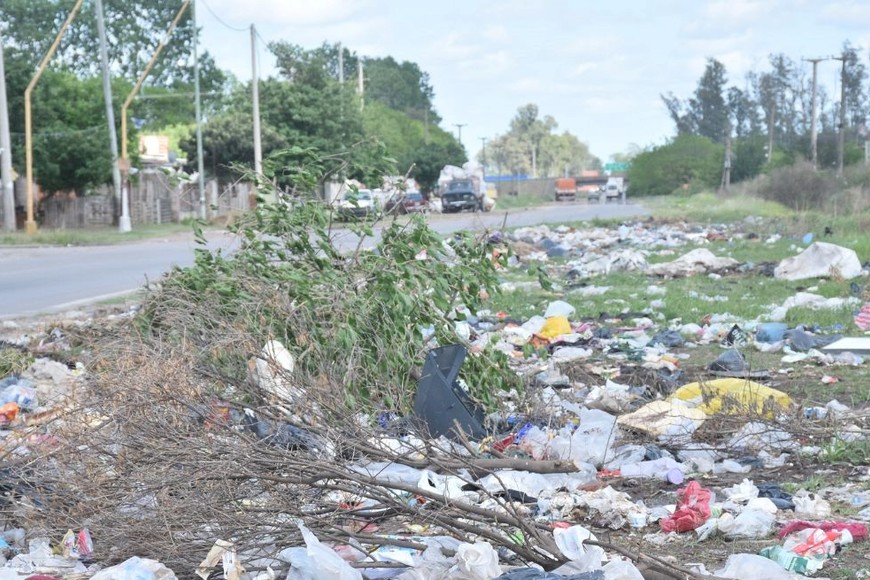 Desechos. Muchas bolsas rotas para extraer algo que sirva. Crédito: Flavio Raina
