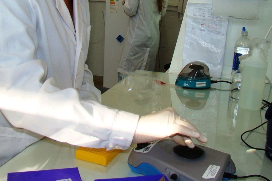 El trabajo interdisciplinario es una de las características de la institución. Crédito: Gentileza Centro de Medicina Comparada