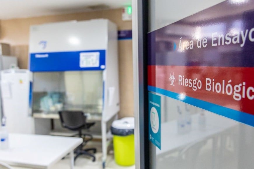 El Centro de Medicina Comparada participó en la validación de la vacuna Sputnik Vida, producida en Argentina por Laboratorios Richmond. Crédito: Prensa UNL