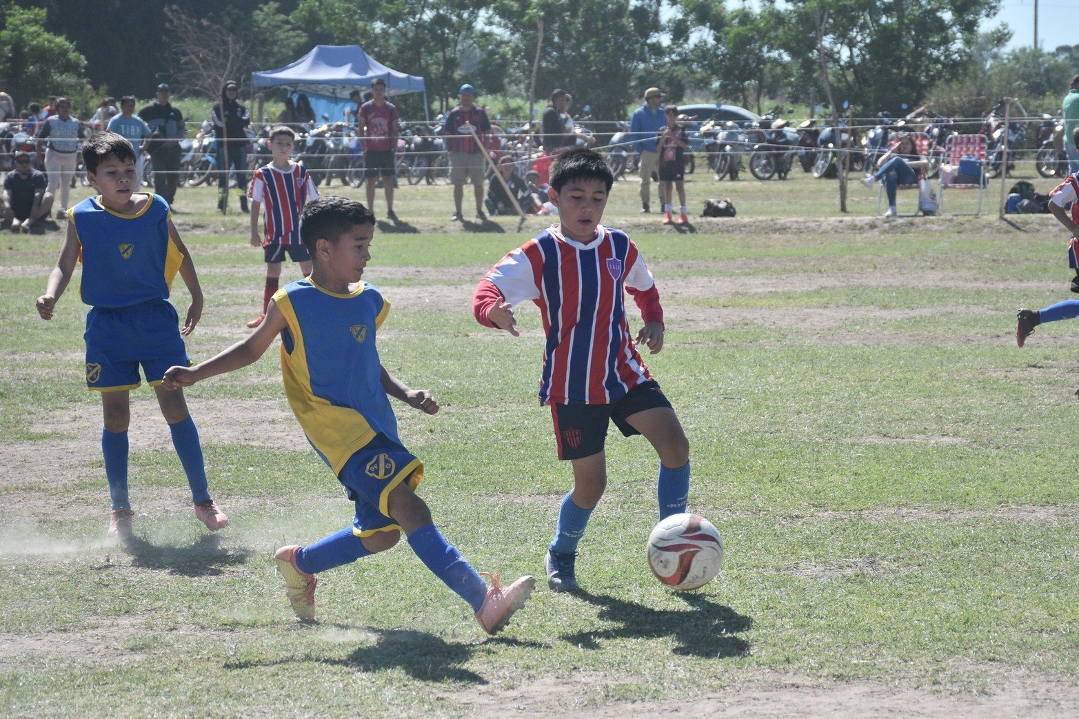 Torneo infantil talento 2022. Foto Flavio Raina