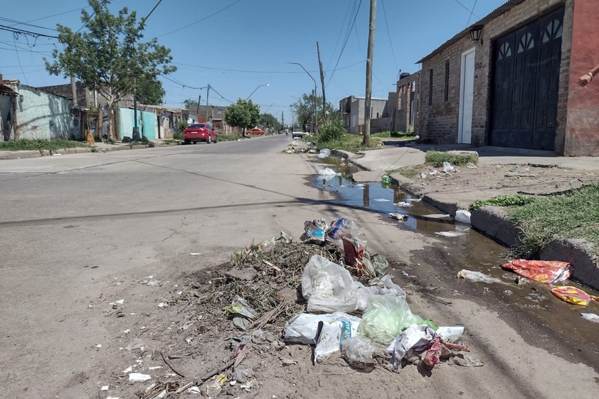Montañitas. Además de la gran montaña que hay en la intersección con Arenales, en todo el resto de calle Mendoza también hay más residuos.  Crédito: El Litoral.