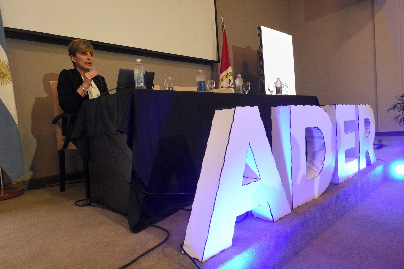 Bajo la consigna "Debatir, reflexionar y proyectar" se realizó el 2º Coloquio de ADER