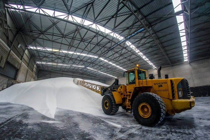 No están ingresando al país las materias primas importadas necesarias para la elaboración local de estos insumos.