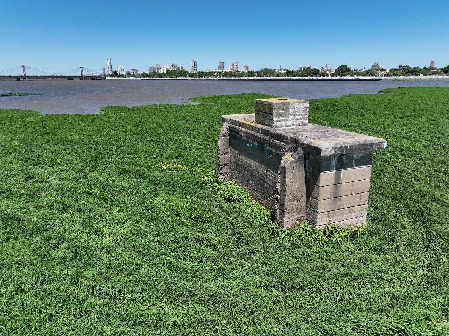 Camalotes en la laguna Setúbal