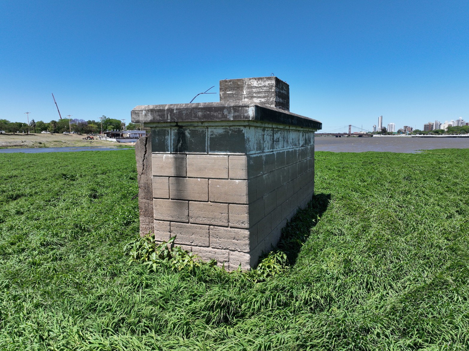 Camalotes en la laguna Setúbal