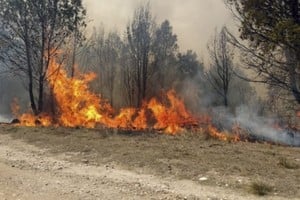 Las provincias de Jujuy y Salta registraban este martes incendios forestales activos