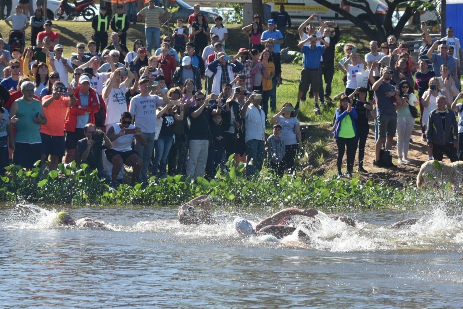 El maratón acuático Santa Fe Coronda vive una nueva edición. Flavio Raina