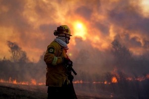 El incendio forestal lleva incendiadas más de 1.100 hectáreas entre Salta y Jujuy
