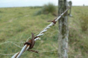 La Asociación de Productores Agropecuarios solicitó al Gobernador a través de un comunicado que se ocupe de este tema.