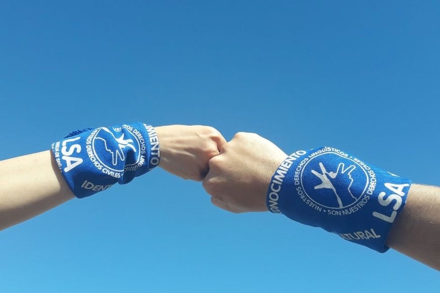 Este es un reclamo histórico de la Confederación Argentina de Sordos (CAS). El proyecto fue presentado y rechazado alrededor de siete veces antes de obtener la aprobación en diputados.