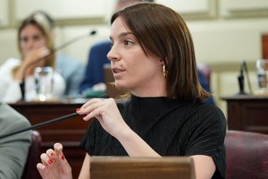 La diputada Lucila De Ponti interpuso un pedido en la Cámara De Diputados para que se convoque a la Mesa de Coordinación Integral de Seguridad Local en Rosario