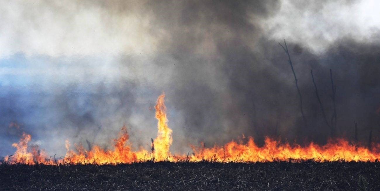 En Entre Ríos se prohibieron las quemas de campos hasta febrero