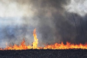 la prohibición de cualquier tipo de quemas en la provincia hasta el próximo 28 de febrero de 2023Créditos: Télam