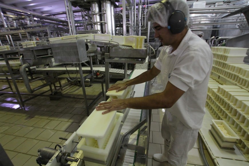 El récord alcanzado comprende los últimos 10 años y es un 8% superior respecto del mismo período de 2025. En productos lácteos la suba fue de más de 19%