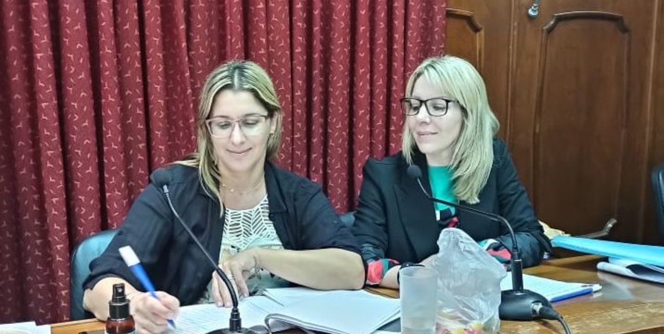 Las defensoras públicas Virginia Segado y Leticia Feraudo consideran que este es un caso de "legítima defensa".