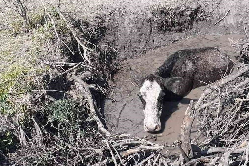 “Esta situación es inédita y mucho más grave que las anteriores, dado que en el 2008/2009 pudimos campearla con las tres nuevas perforaciones que la propia SRV invirtió en Las Gamas, donde también instalamos bombas para extraer el agua y trasladarla a los campos, pero hoy estamos superados”, agregó. Foto: El Litoral