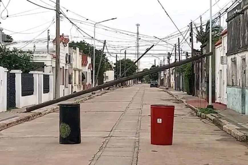 Postes caídos en la calle Coronel Rodríguez. 