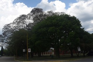 El viento llegó acompañado de un leve descenso de las máximas. Crédito: Archivo El Litoral