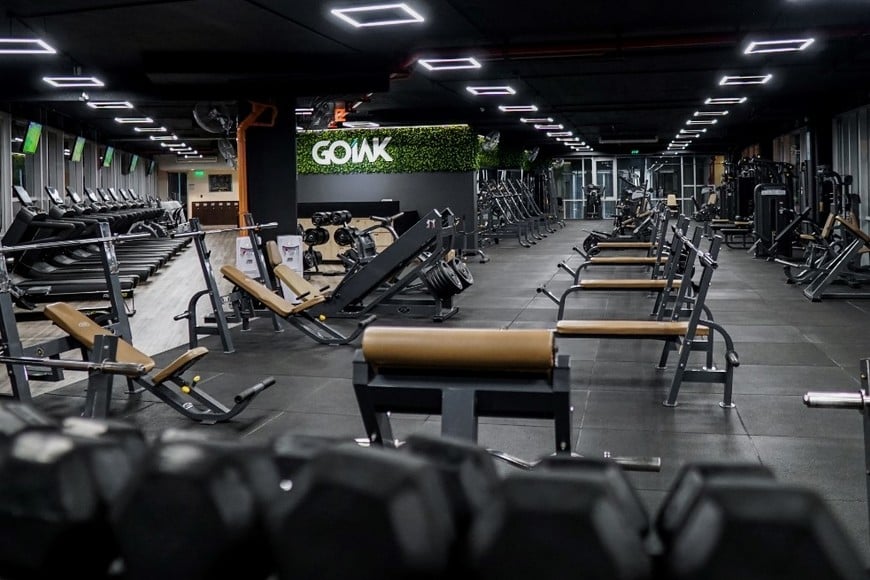 Gimnasio Goiak.