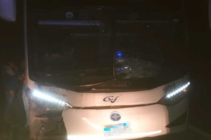 El colectivo quedó a un costado del camino tras el incidente que no dejó heridos.