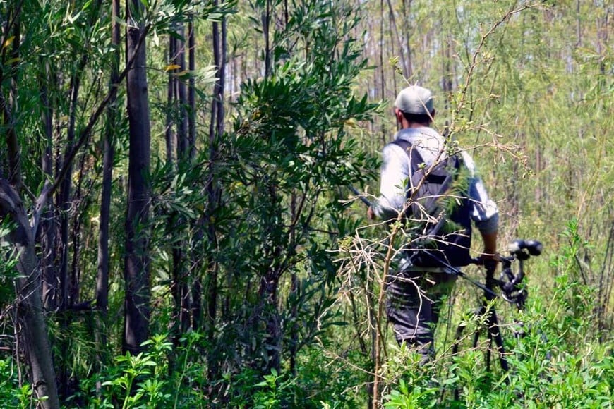 Investigadores sobre el humedal de la Setúbal, sobre la orilla oeste, en busca de las nuevas especies que allí crecen.