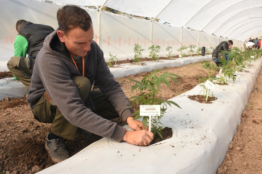 Las fotos del año - Lo que pasó en Julio, Agosto y Septiembre