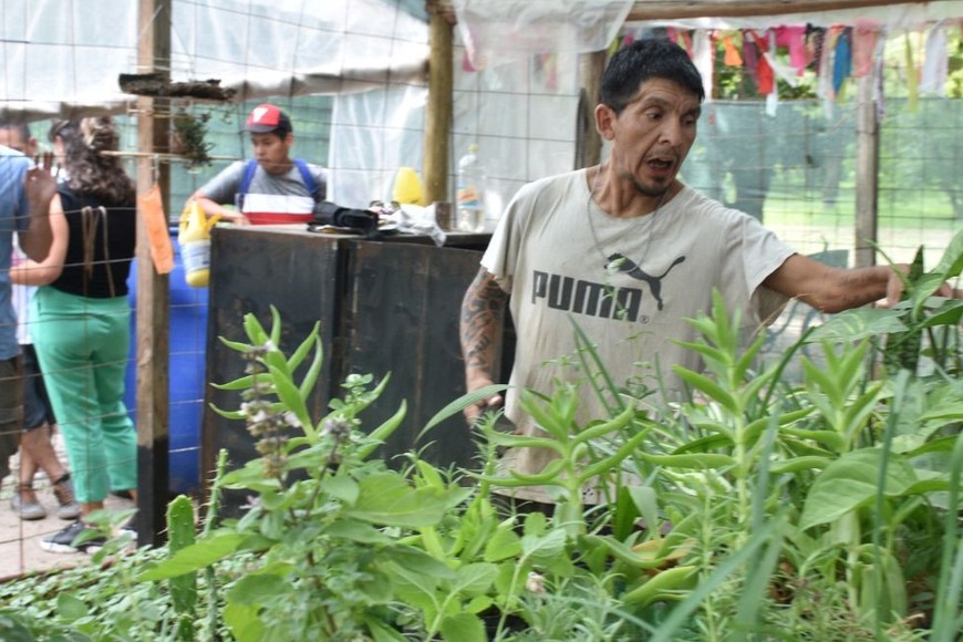 La unidad de producción de los Viveros Barriales se ubica en una parcela del Jardín Botánico municipal. Allí se pueden adquirir plantines florales, aromáticas, entre otros. Créditos: Luis Cetraro