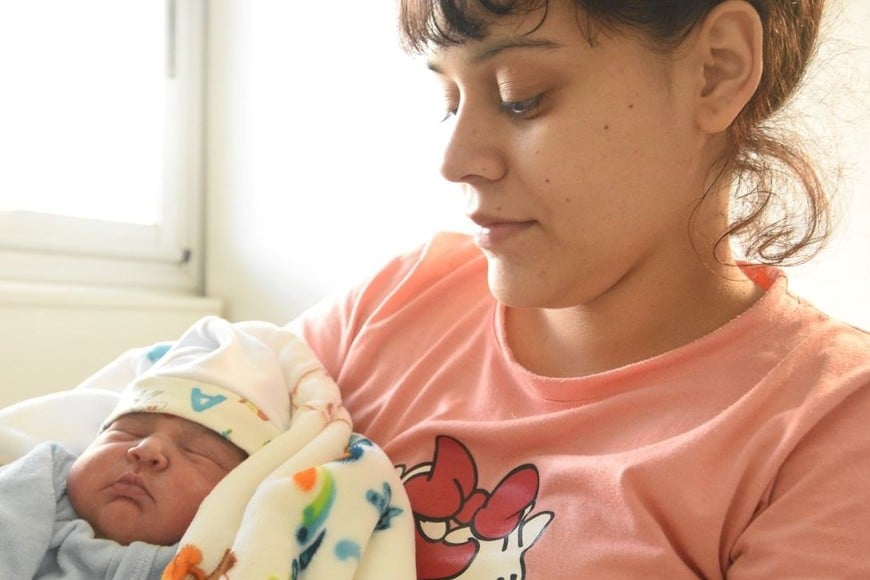 Ambos se encuentran en buen estado de salud. Créditos: Manuel Fabatia