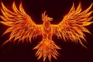 El ave fénix renace lleno de fuerza y poder.