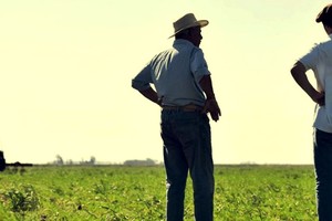 Los trabajadores rurales cobrarán un adicional no remunerativo de 26 mil pesos.