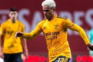 Enzo Fernández se convirtió en figura del Benfica en pocos partidos.