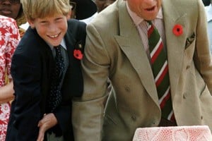 principe carlos de inglaterra junto a su hijo el principe harry visita sudafrica principe carlos de inglaterra junto a su hijo el principe harry visita sudafrica