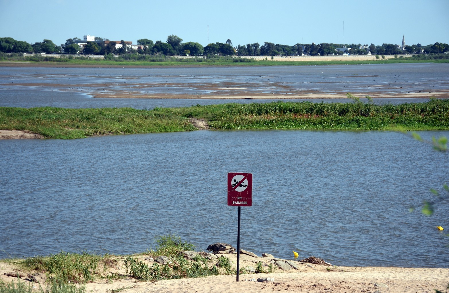 La única forma de llegar a la playa desde el río es atravesando los camalotes y la tierra gredosa que ahora queda expuesta por la bajante. Foto: Guillermo Di Salvatore