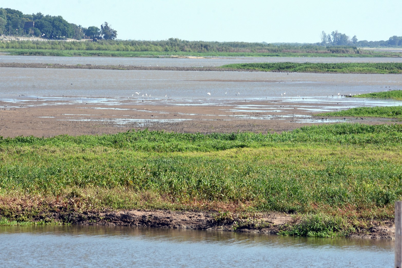 Kayakistas piden que se remueva el impresionante camalotal para que ese sector de la laguna quede liberado. Foto: Guillermo Di Salvatore