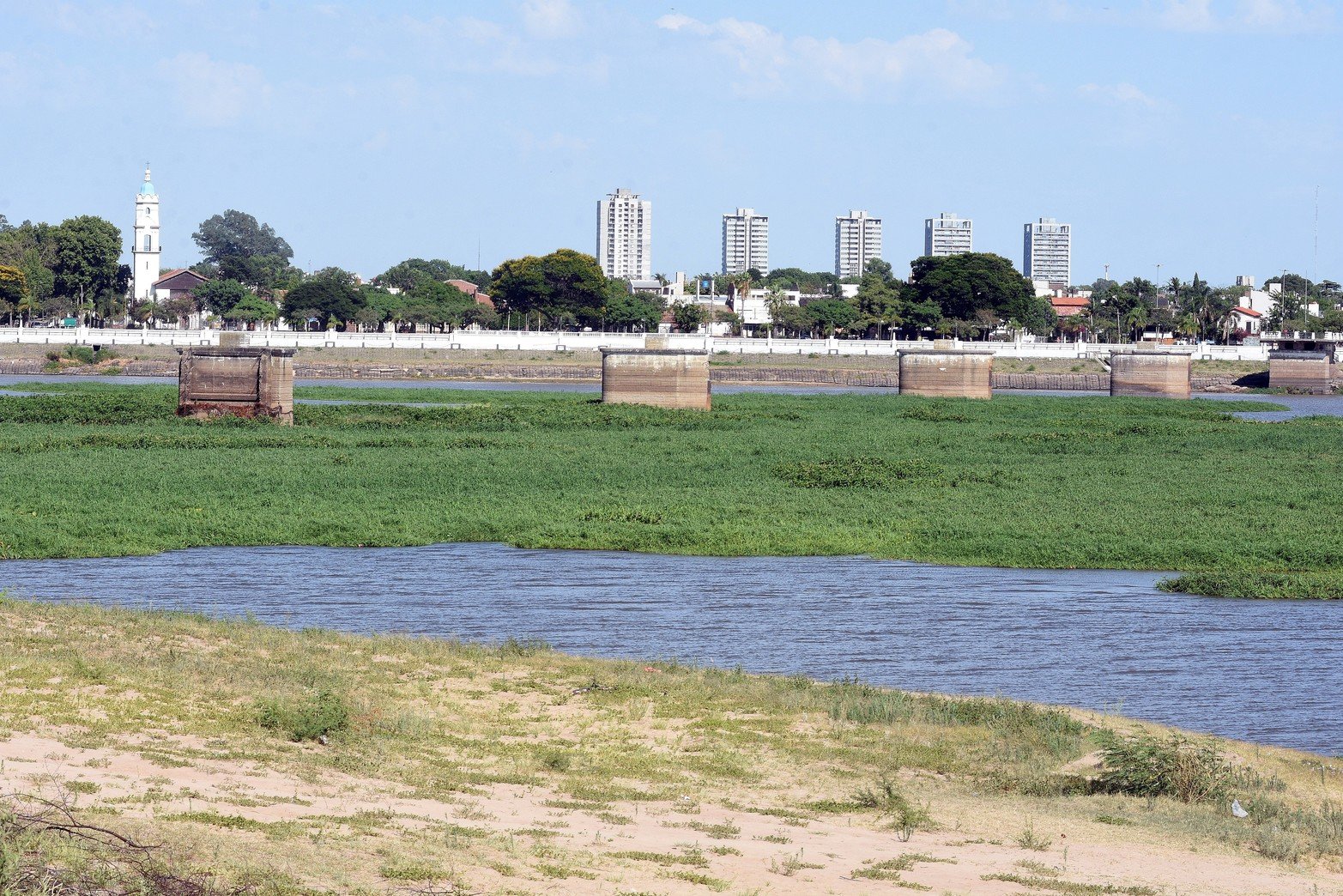 Según los kayakistas, si se hubieran ido retirando los camalotes a medida que se empezaban a acumular, no se habría generado semejante superficie de vegetación. Foto: Guillermo Di Salvatore