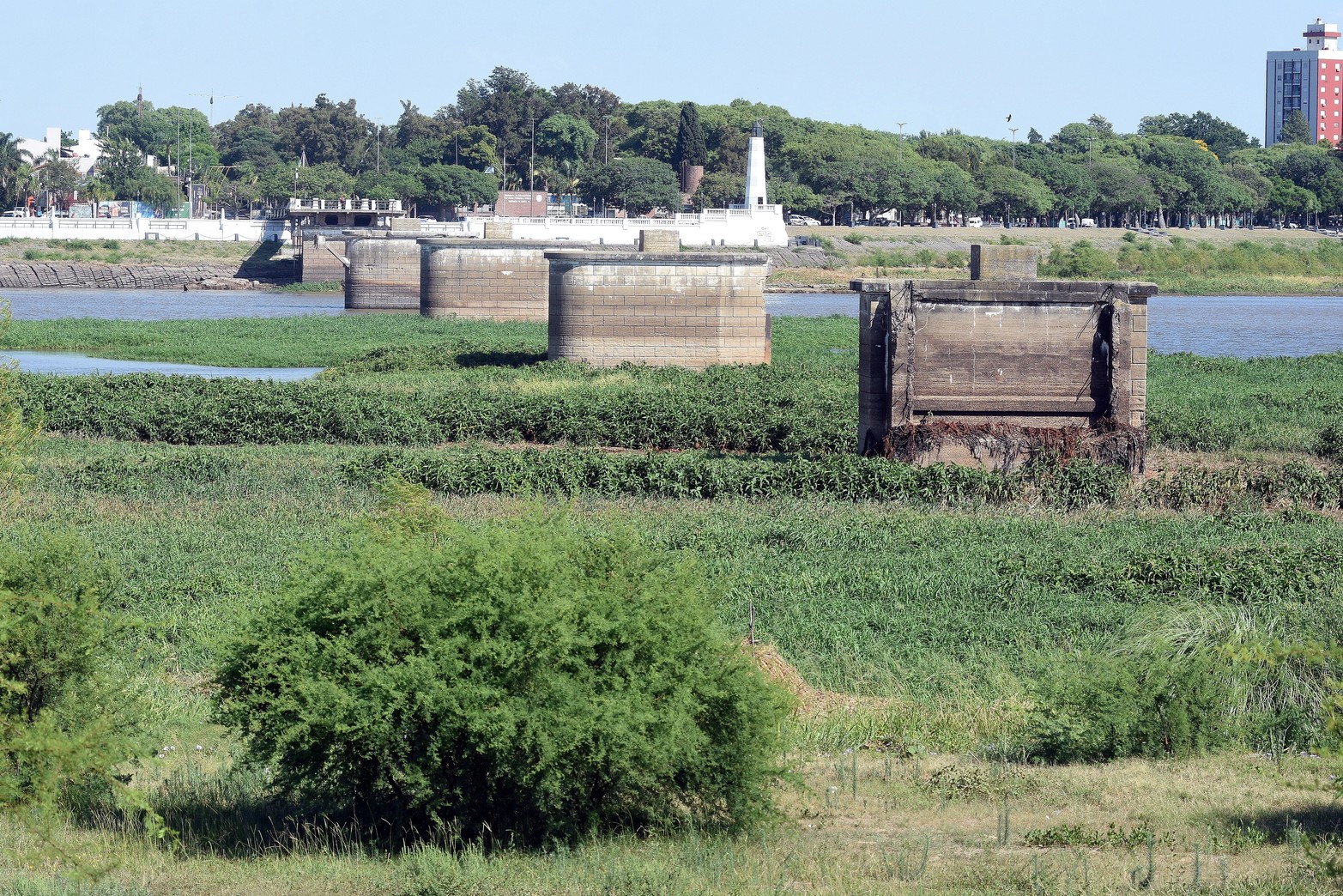 Hablan de un "vacío legal" con relación a qué estamento le corresponde ocuparse del problema. Foto: Guillermo Di Salvatore