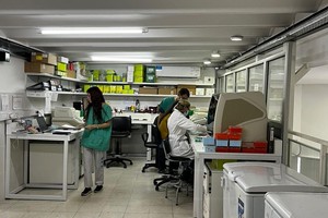 El test de VPH (virus de papiloma humano) es un estudio que mejora y simplifica la prevención del cáncer de cuello uterino.