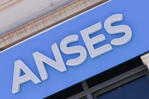 Imagen ilustrativa. Crédito: Anses