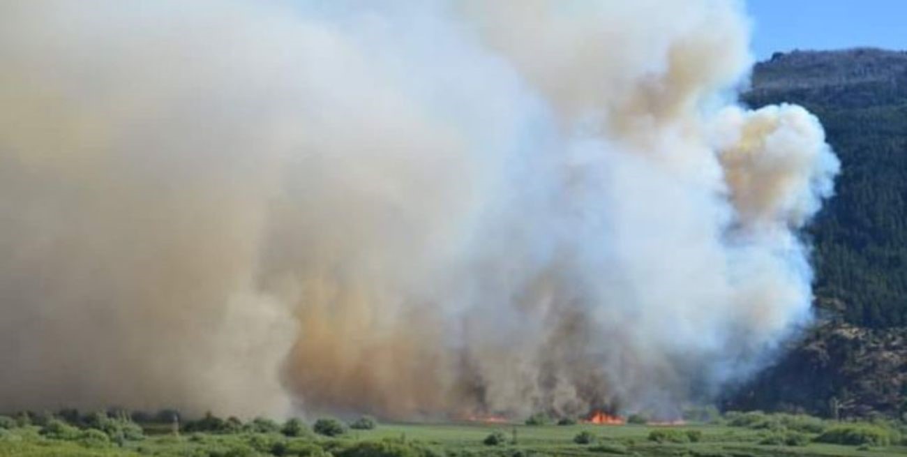 Incendio en un cerro de El Hoyo, en Chubut: debieron evacuación la zona