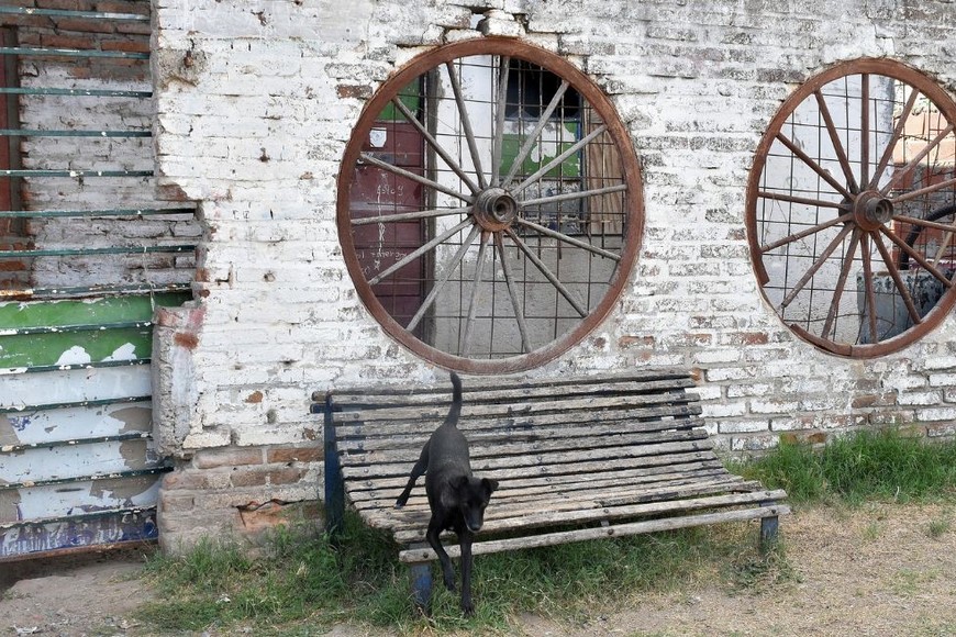 Casas humildes, pintorescas, de material o chapa, forman parte de un barrio que al fin tendrá mejoras, sobre todo de iluminación.  Créditos: Guillermo Di Salvatore