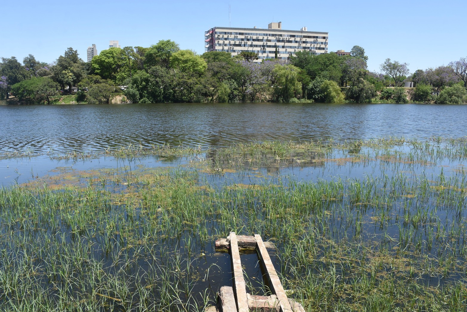 Los estudios de calidad de agua sostienen que los indicadores "están muy bien", remarcó Gabriel Maurer, subsecretario de Ambiente del Municipio. Se realizó una jornada de limpieza para erradicar los residuos en las márgenes e interior del lago.