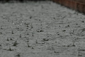 Durante enero hubo cuatro días de lluvia, cuando lo "normal" es que llueva en nueve. Crédito: Mauricio Garín.