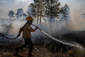 Las localidades afectadas por el fuego son Federación, en Entre Ríos; Utracán, en La Pampa; y Bariloche, en Río Negro.Crédito: Archivo El Litoral.