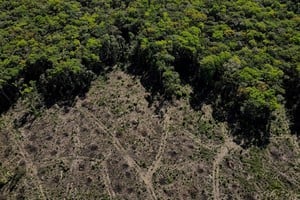 Una vista aérea muestra una parcela deforestada de la selva amazónica en Manaos, estado de Amazonas. Créditos: Bruno Kell/Reuters