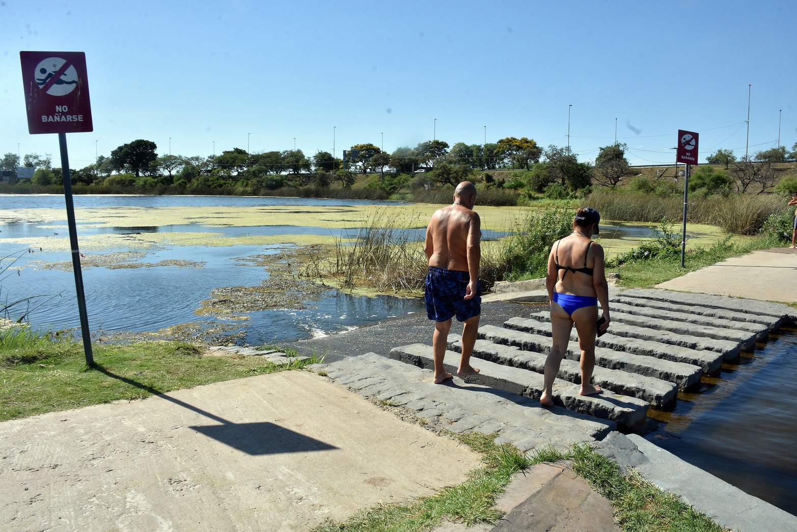 El lago del Parque del Sur, sin contaminación. Según un análisis bacteriológico presenta buenas condiciones ambientales. Los estudios de calidad del agua sostienen que los indicadores están "muy bien", según remarcó Gabriel Maurer, subsecretario de Ambiente del Municipio. Foto: Guillermo Di Salvatore