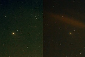 Dos imágenes obtenidas del cometa con su aspecto difuso debido a su cola desplegada. Crédito: Instituto de Astrofísica de La Plata